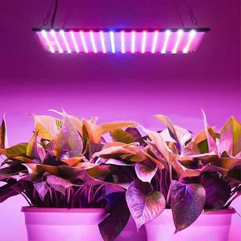 1000W LED Grow Light Plošča Celoten Spekter Ffs Lučka AC85-240V EU/ZDA Vtičem Za uporabo v Zaprtih prostorih Rastejo Šotor Rastline Rasti Svetlobe