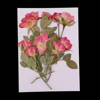 10x Pritisnete Posušenih Cvetov Rose DIY Telefon Primeru Zaznamek Smolo Nakit za likovno Izdelavo Papirja, Darilne Embalaže Obrti