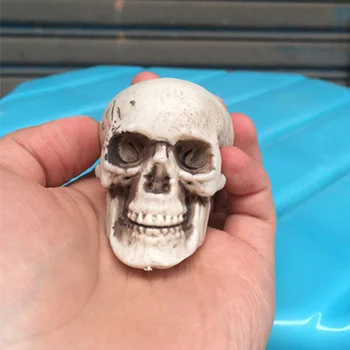 1Pcs/Paket Grozo Lobanje Prop Figurice Halloween Dekoracijo Miniature Model Človeških Anatomskih Plastično Mini Lobanje Anatomiji Glave